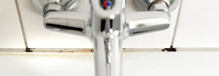 Schimmel an Badezimmerfliesen